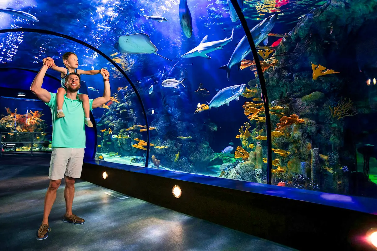 moody-g-1